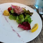 User's review image for ラ・ソラシド フードリレーションレストラン