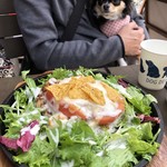 用户对于ドッグデプトカフェ お台場東京ビーチ店的评论图