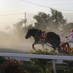 用户对于じんぎすかん北海道的评论图