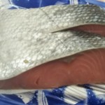 用户对于佐藤水産 札幌三越店的评论图