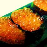 User's review image for 海鮮魚力 国分寺マルイ店