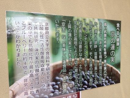 用户对于杜若園芸的评论高清图
