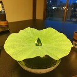 用户对于京料理 箔的评论图