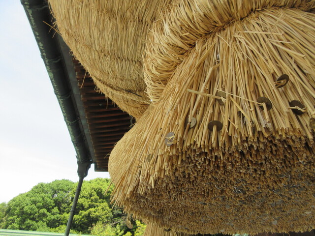 User's recommendation image for 島屋