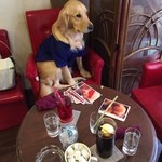 User's review image for cafe de monca