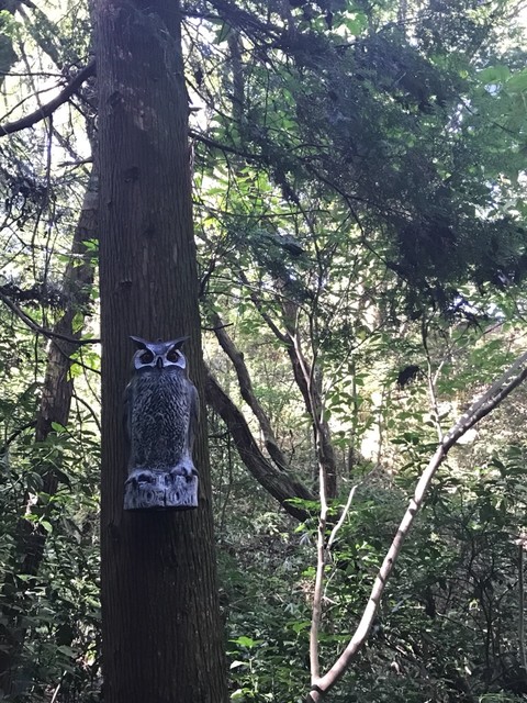 用戶對於城山オレンヂ園的評論高清圖