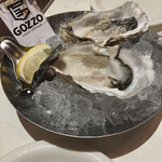 用戶對於GOZZO的評論圖