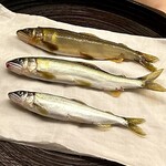 用户对于コノシマビール的评论图