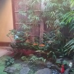用戶對於上林春松本店的評論圖