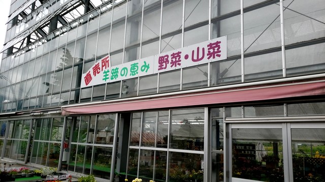 用户对于食堂 山びこ的评论高清图
