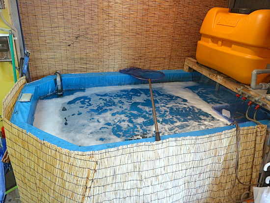 用戶對於博多料理太衛門的評論圖