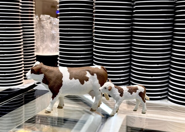 User's recommendation image for 椿・DREAM DOLCE