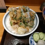 用户对于天ぷら ころも second Season的评论图