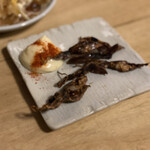 User's review image for 大衆食堂BEETLE 原宿
