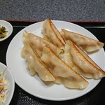 用户对于餃子の王様 龍吟 ダイバーシティ店的评论图