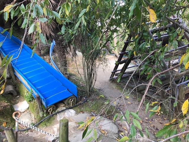 用戶對於城山オレンヂ園的評論高清圖