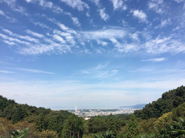 用戶對於城山オレンヂ園的評論高清圖