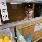 用戶對於犬のやきいも屋さん的評論圖