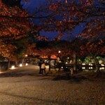 User's review image for さが美