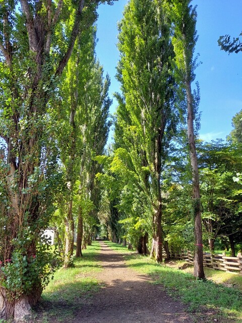 用戶對於SOUP CURRY KING ゲートウェイ店的評論高清圖