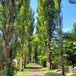 用戶對於SOUP CURRY KING ゲートウェイ店的評論圖