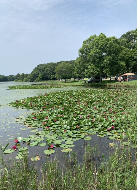 用戶對於王子サーモン 北海道工場直営所的評論高清圖