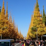 用户对于ケンタッキーフライドチキン 北青山店的评论图