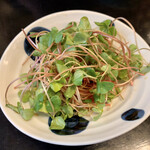 用户对于蕎麦・料理 籔半的评论图