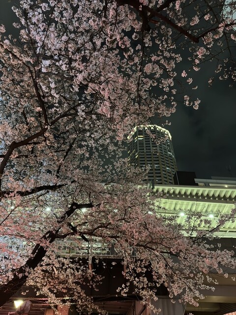 User's recommendation image for 鉄板焼 ぼうず