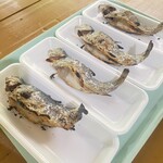 用戶對於辻野養魚場的評論圖