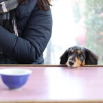 User's review image for 深大寺 鈴や