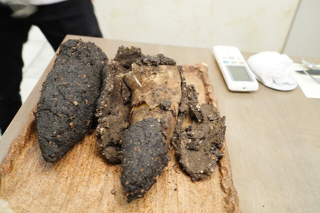 User's recommendation image for ボニュ