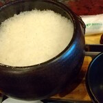 用户对于RICE的评论图