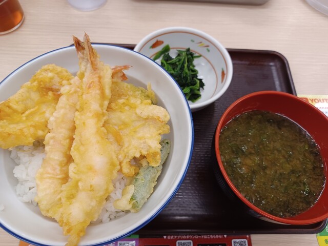 用戶對於天丼天ぷら本舗 さん天 宇治小倉店的評論高清圖