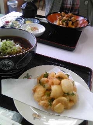 用户对于食堂 山びこ的评论图