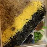 User's review image for 駅弁処