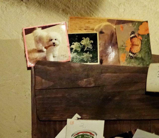 User's recommendation image for レザール