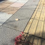 用户对于成城石井 アトレヴィ田端店的评论图