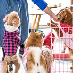 User's review image for 保護犬＆保護猫カフェ 寺田町店