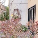 User's review image for Rikyu