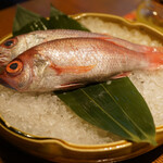 用戶對於泉岳寺門前 紋屋的評論圖