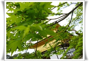 User's review image for 玉家