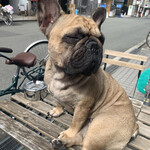 用戶對於カタチ カフェ的評論圖