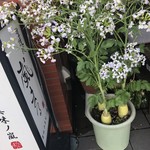 用户对于聖護院　嵐まる的评论图