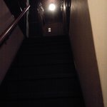 用户对于素的评论图