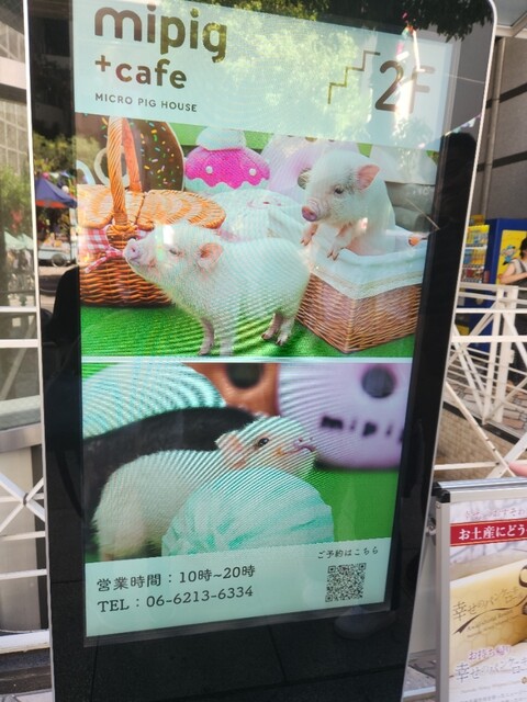 用戶對於マイピッグカフェ 大阪店的評論高清圖