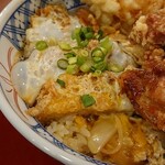 用户对于かつてん duo新札幌店的评论图