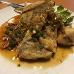 用户对于美龍的评论图