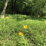 User's review image for すき家 府中浅間店