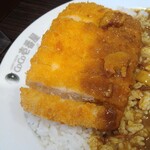 用戶對於CoCo壱番屋 博多区中洲店的評論圖